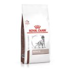 Royal Canin VD Dog Hepatic 1,5 kg